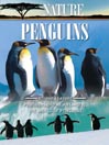 Penguins, Part 2 of 2